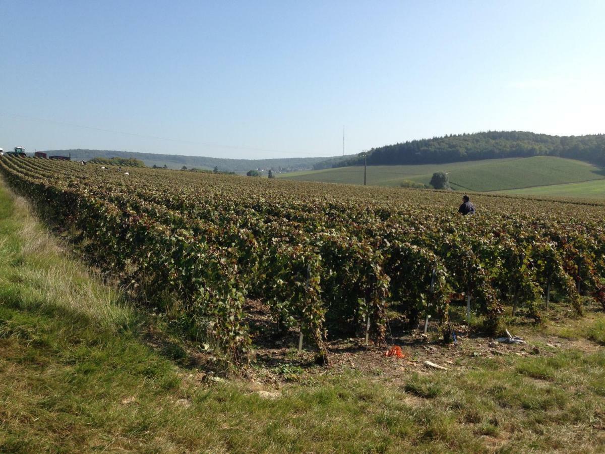 Flor'Ever En Champagne Fleury-la-Riviere Exterior photo